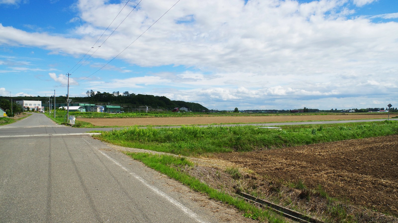 青空の下に広がる畑と農道