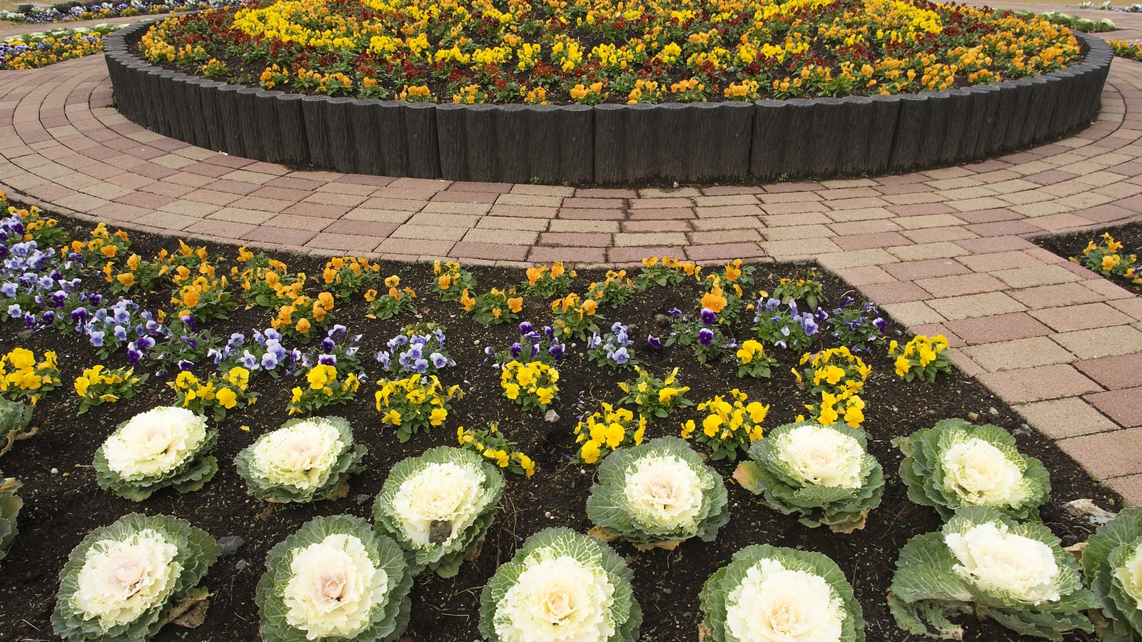 国内で撮影された色とりどりの花壇